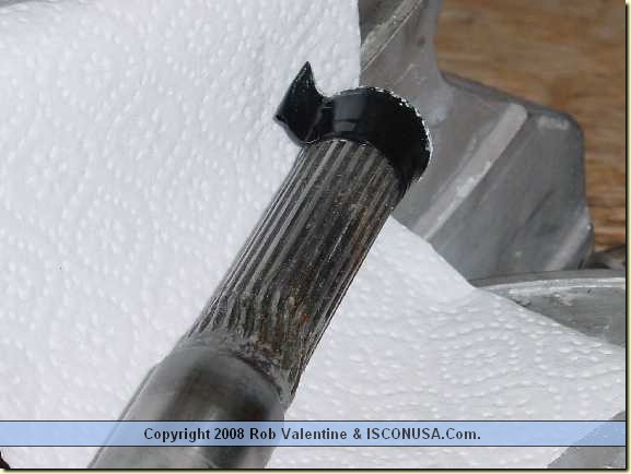 Image_11