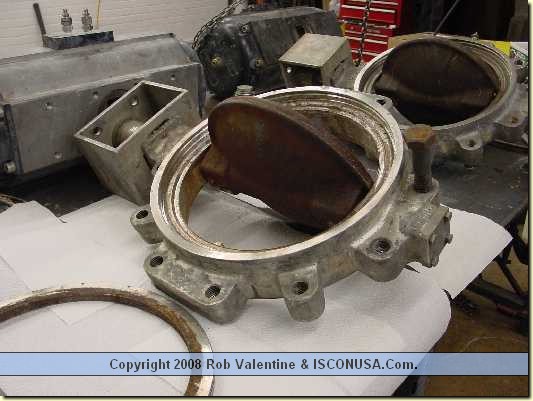 Image_6
